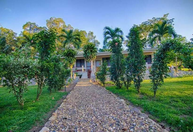 اتاق استاندارد, Bocawina Rainforest Resort