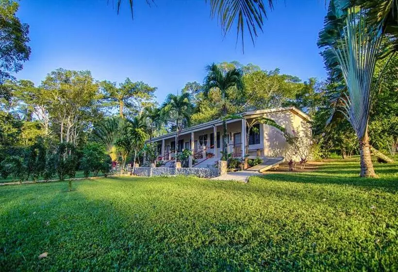 اتاق استاندارد, Bocawina Rainforest Resort