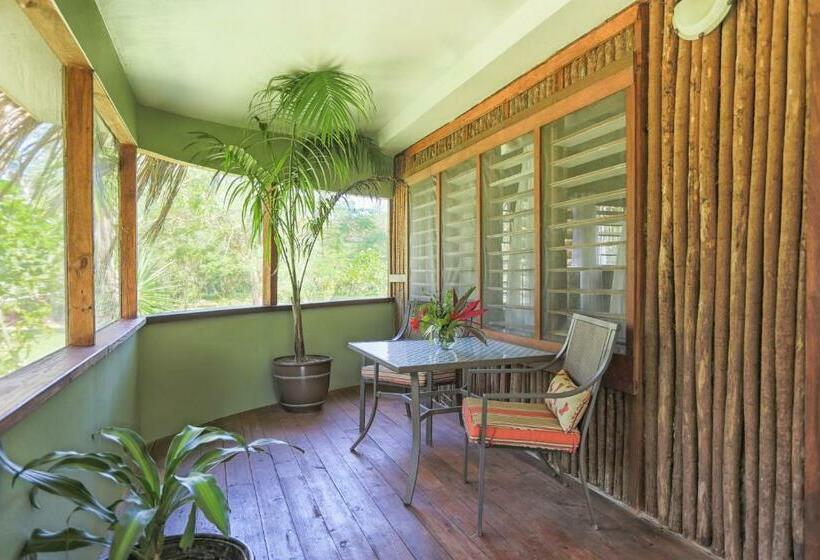 스탠다드 테라스 룸, Bocawina Rainforest Resort