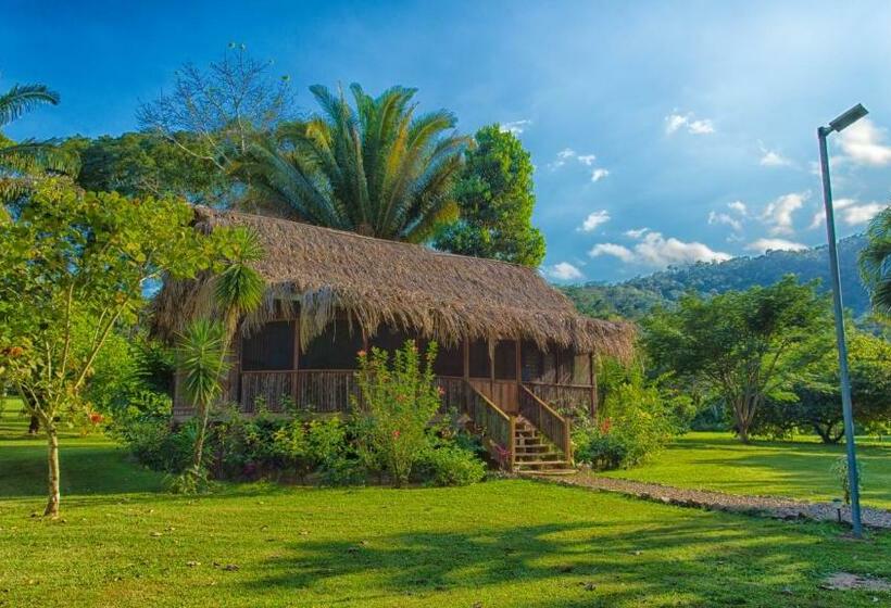 חדר סטנדרט עם טרסה, Bocawina Rainforest Resort