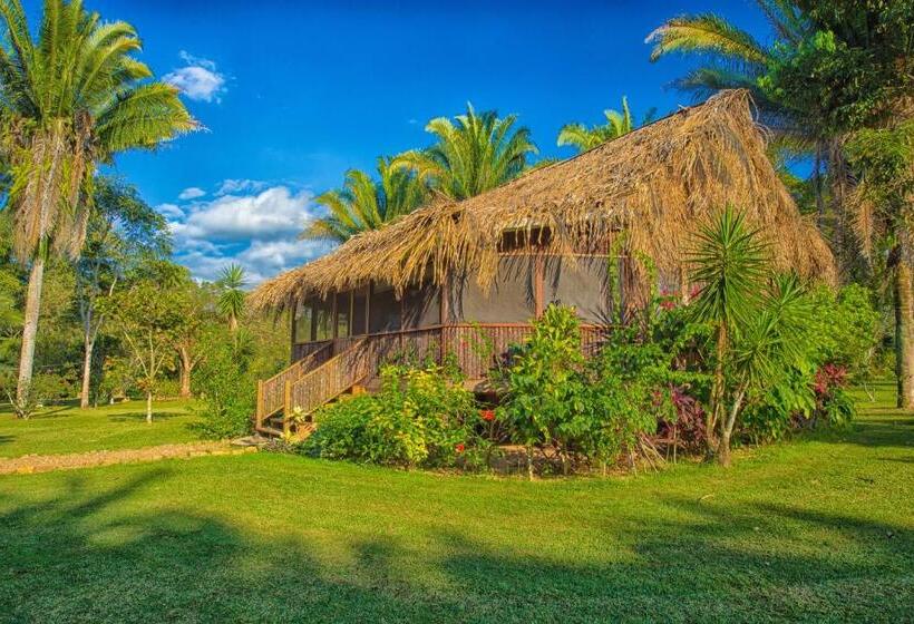 חדר סטנדרט עם טרסה, Bocawina Rainforest Resort