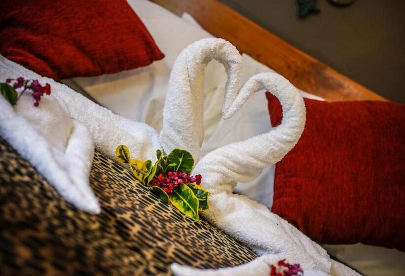 סוויטה דלוקס, Bocawina Rainforest Resort