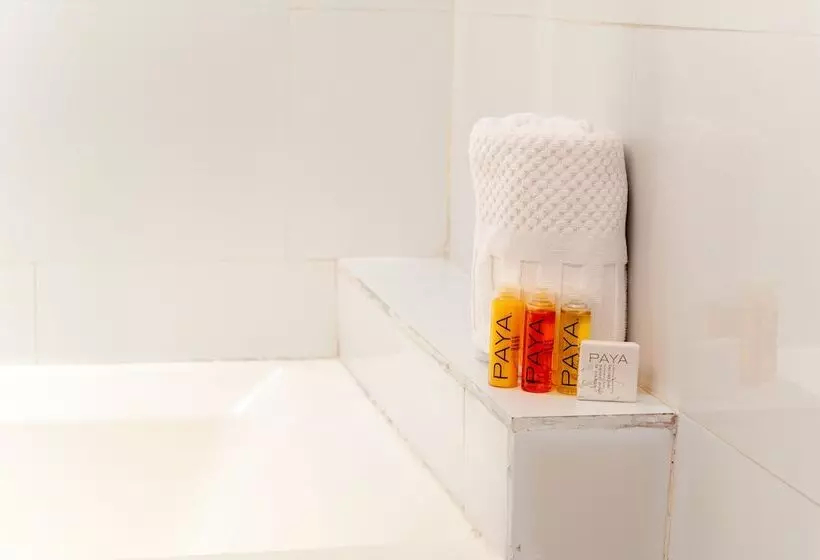 اتاق استاندارد, Oceanside Hotel And Suites