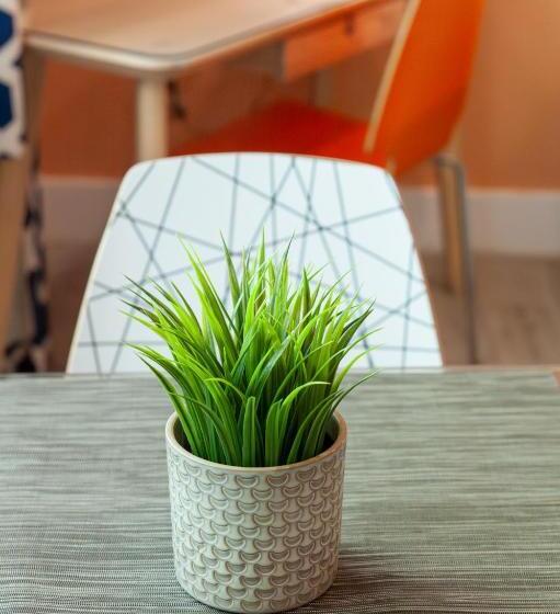 Люкс, Oceanside Hotel And Suites