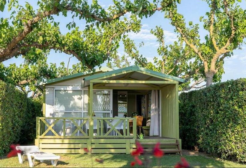 בקתת חדר, Perula Di Machja