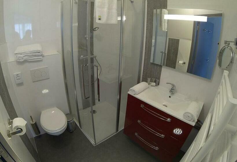 חדר סופריור עם מיטת קינג, L'aerogare Amboise