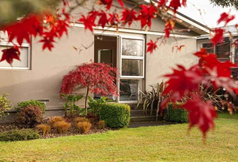 اتاق استاندارد, B&b@the Redwoods
