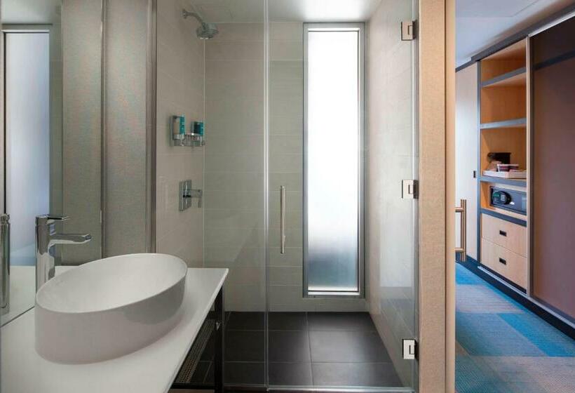 غرفة قياسية سرير كينج, Aloft Long Island Citymanhattan View