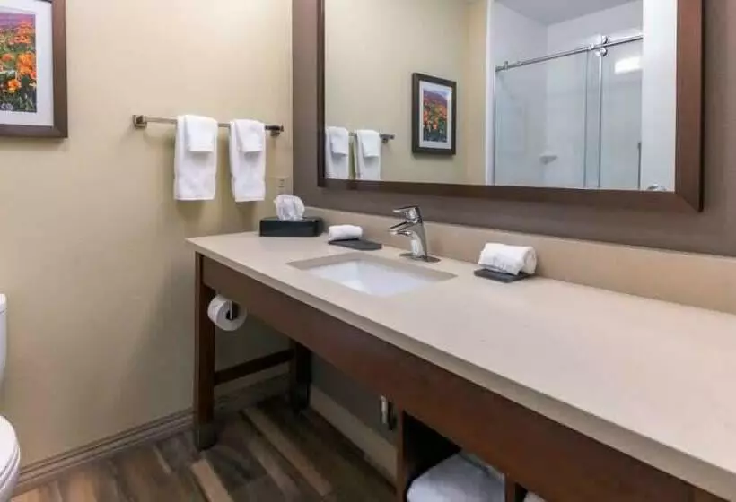 身障者適用キングサイズベッドルーム, La Quinta By Wyndham Durango
