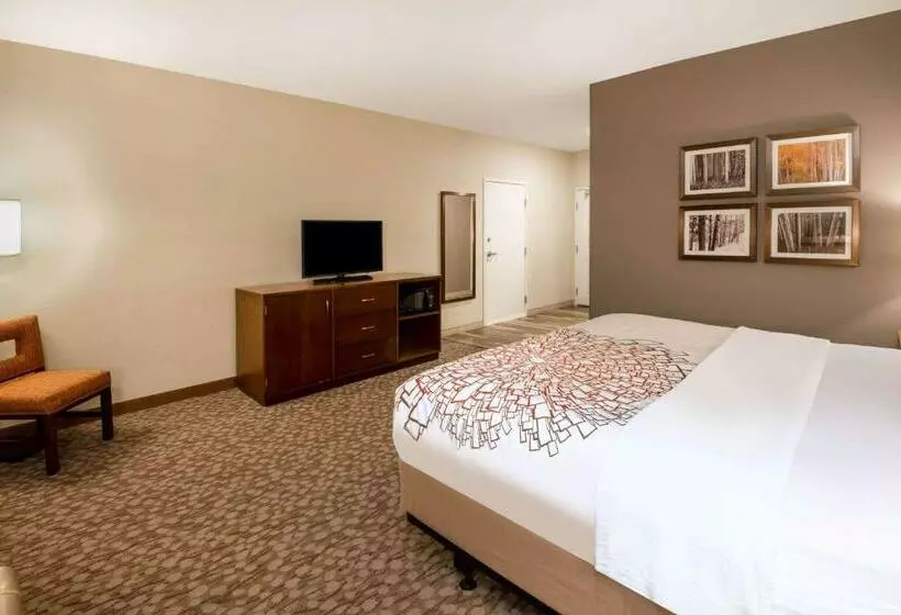 デラックススイート, La Quinta By Wyndham Durango