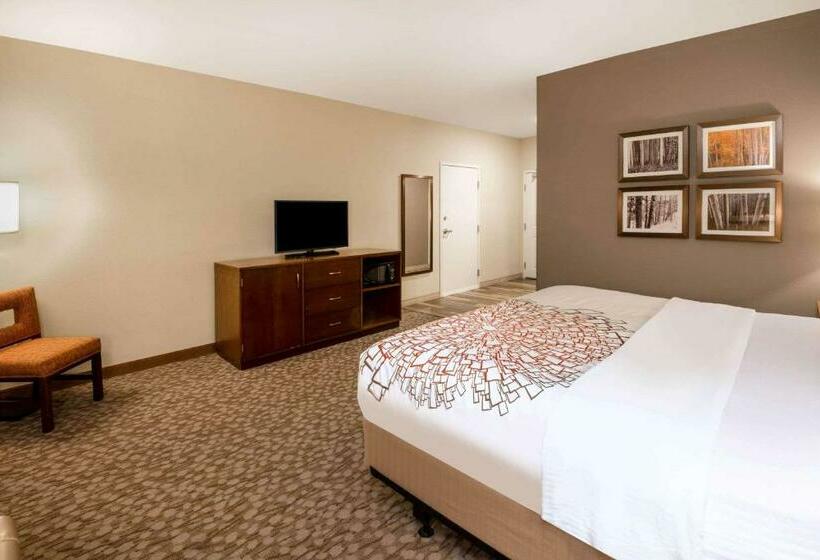 חדר סטנדרט עם מיטת קינג, La Quinta By Wyndham Durango
