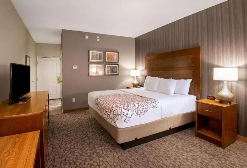 身障者適用キングサイズベッドルーム, La Quinta By Wyndham Durango