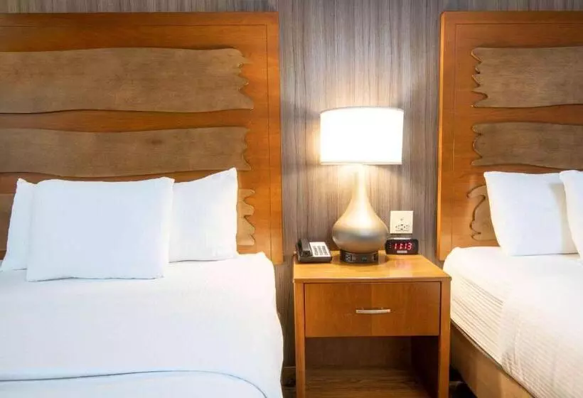 デラックスルーム, La Quinta By Wyndham Durango