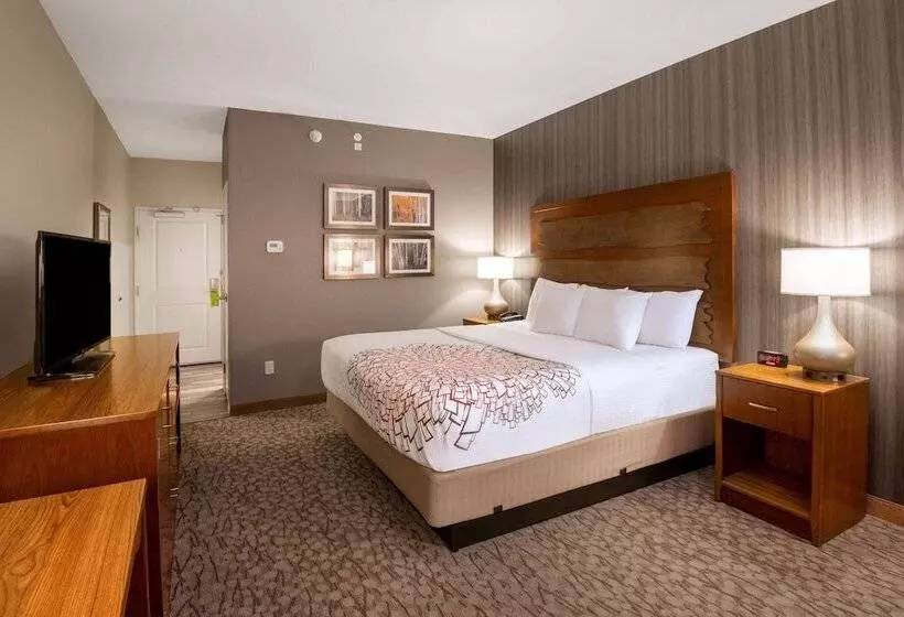 障害者適応デラックスルーム, La Quinta By Wyndham Durango