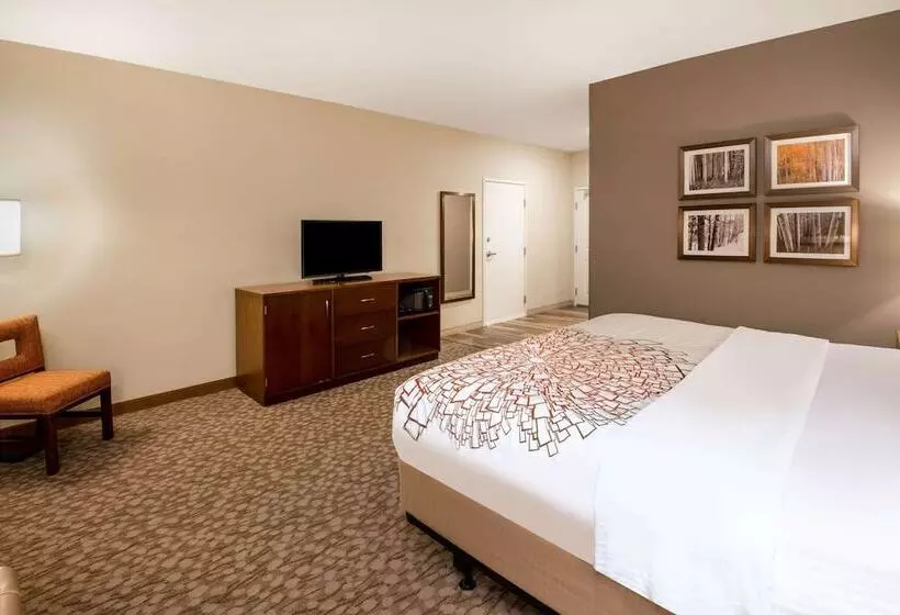 障害者適応デラックスルーム, La Quinta By Wyndham Durango