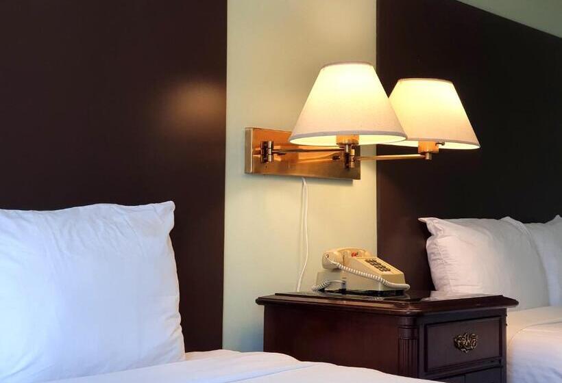 经济房, Cloud 9 Inn