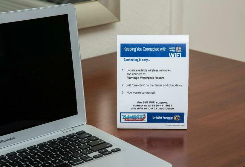 חדר סטנדרט, Flamingo Express