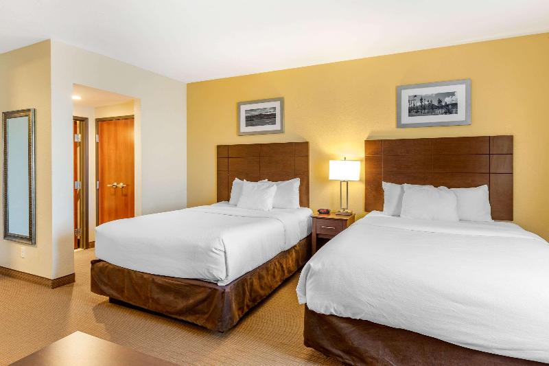 اتاق استاندارد, Holiday Inn Express Chengdu Wenjiang Hotspring, An Ihg