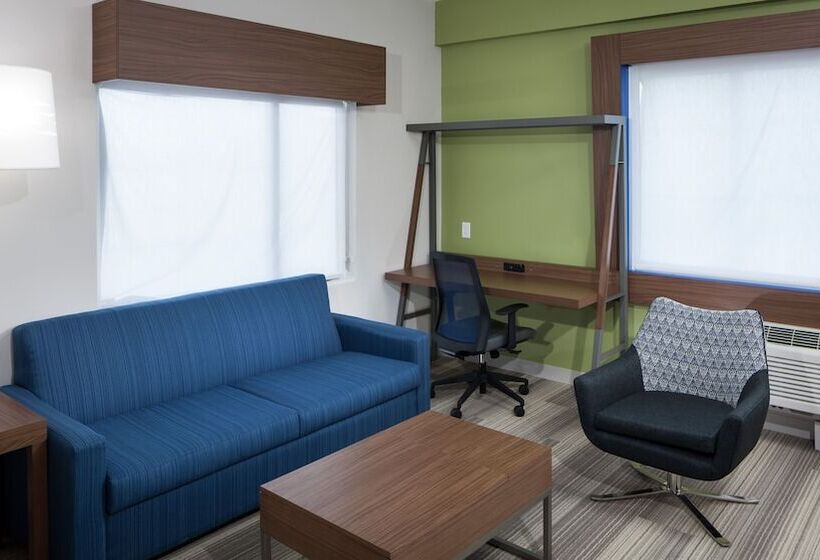 套房, Holiday Inn Express & Suites   Orlando At Seaworld, An Ihg