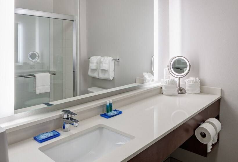 套房, Holiday Inn Express & Suites   Orlando At Seaworld, An Ihg