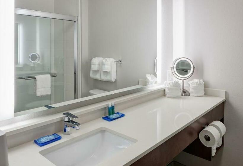 标准间, Holiday Inn Express & Suites   Orlando At Seaworld, An Ihg