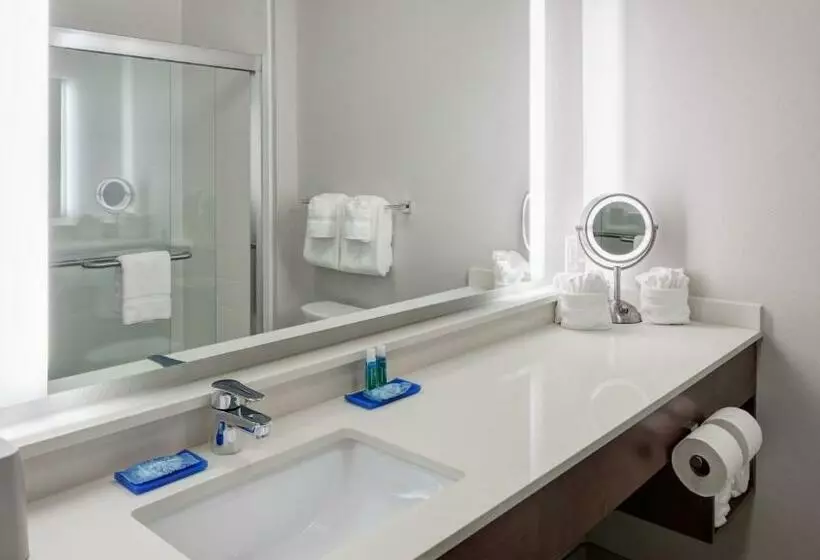 اتاق استاندارد, Holiday Inn Express & Suites Orlando At Seaworld, An Ihg