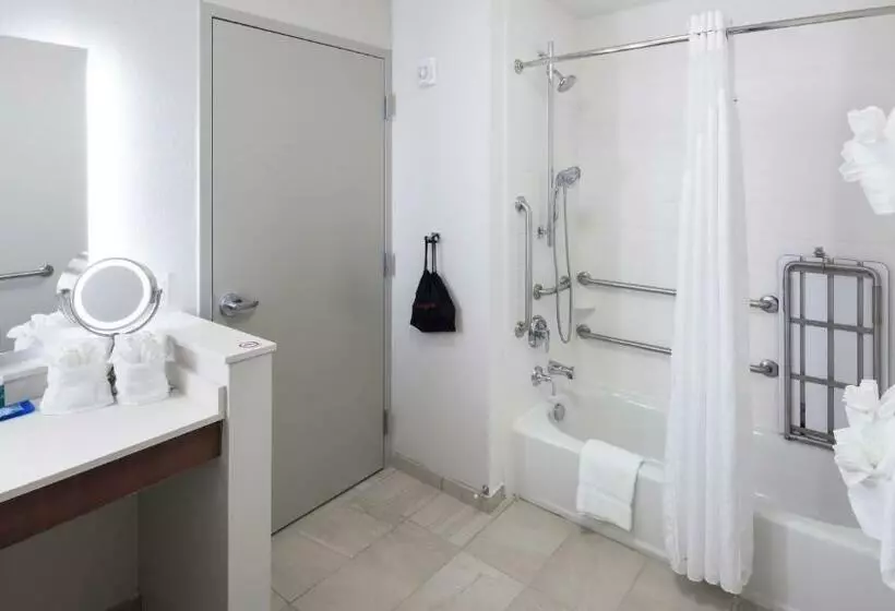اتاق استاندارد برای معلولان, Holiday Inn Express & Suites Orlando At Seaworld, An Ihg