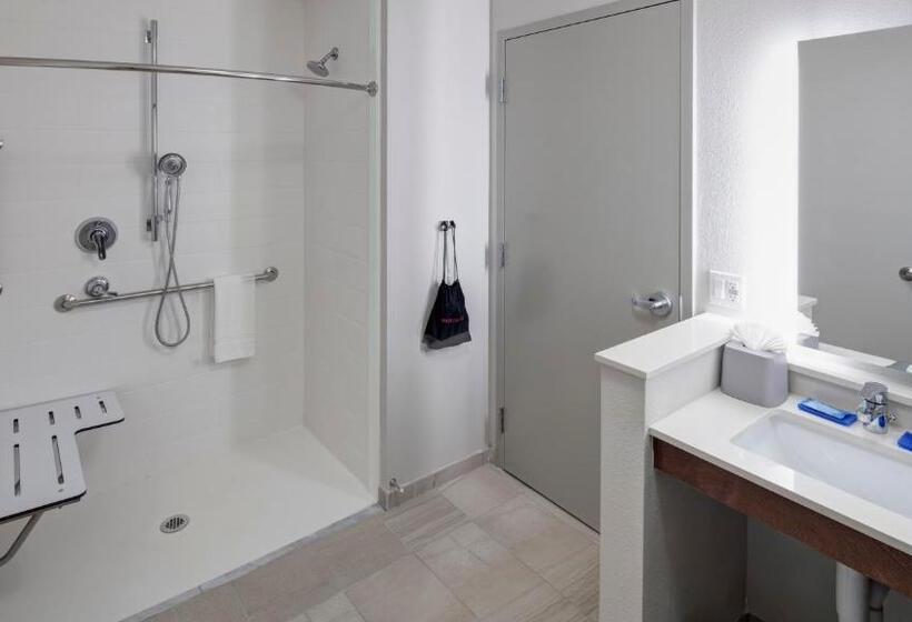 适合残疾人使用的标准间, Holiday Inn Express & Suites   Orlando At Seaworld, An Ihg
