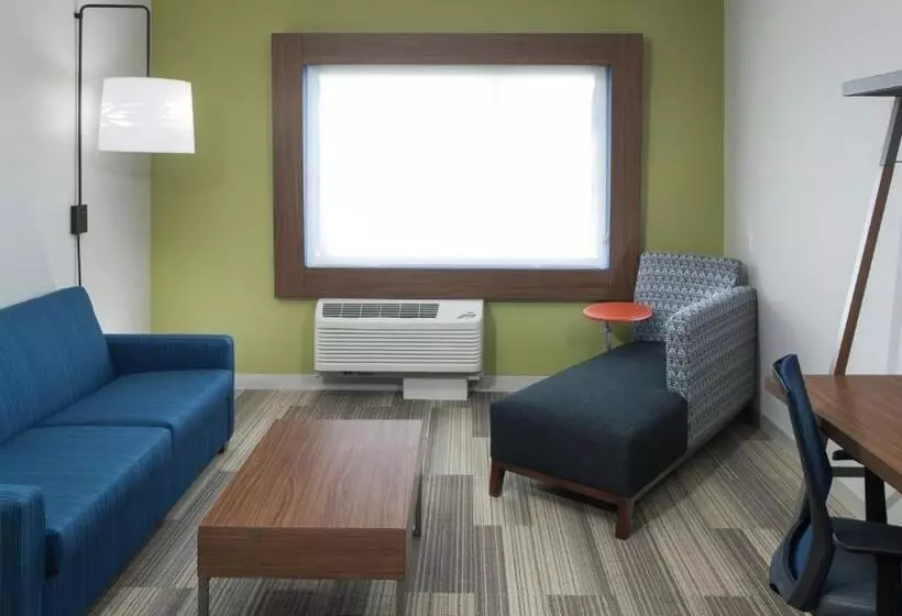 سوئیت با تخت بزرگ, Holiday Inn Express & Suites Orlando At Seaworld, An Ihg