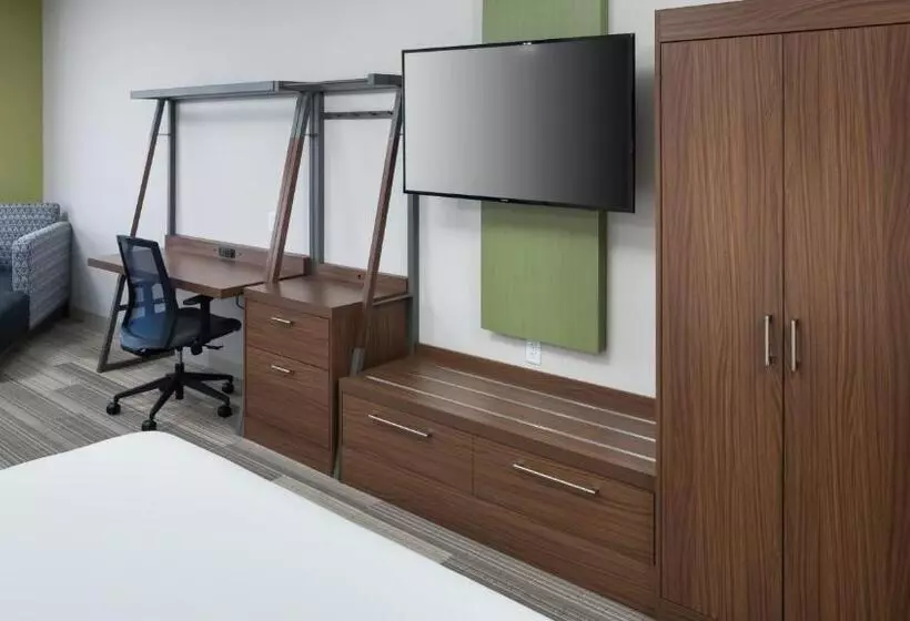 سوئیت با تخت بزرگ, Holiday Inn Express & Suites Orlando At Seaworld, An Ihg