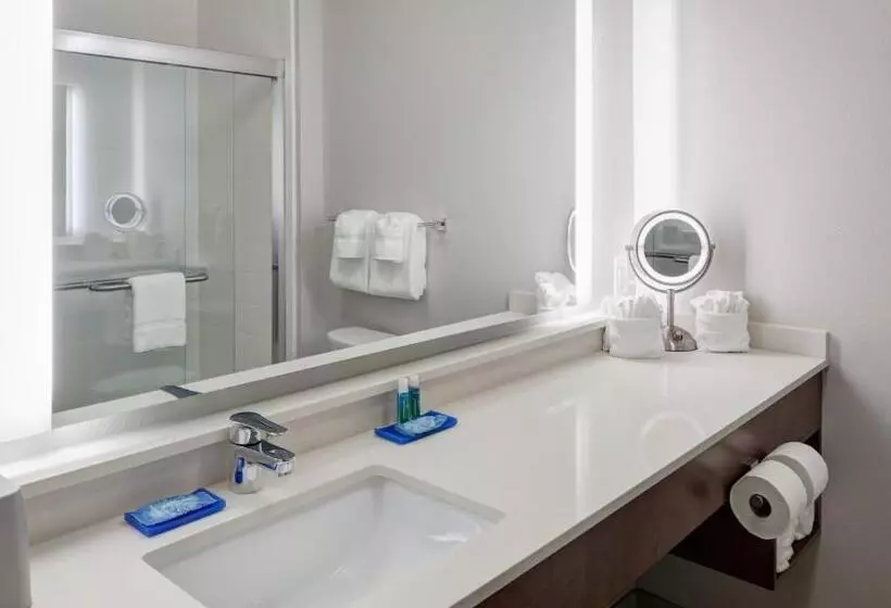 سوئیت با تخت بزرگ, Holiday Inn Express & Suites Orlando At Seaworld, An Ihg
