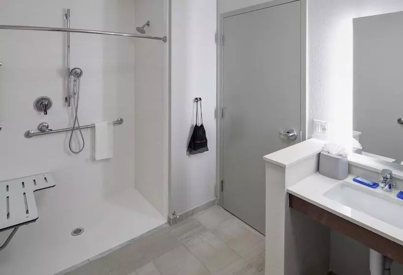 اتاق استاندارد, Holiday Inn Express & Suites Orlando At Seaworld, An Ihg
