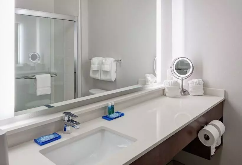 اتاق استاندارد, Holiday Inn Express & Suites Orlando At Seaworld, An Ihg