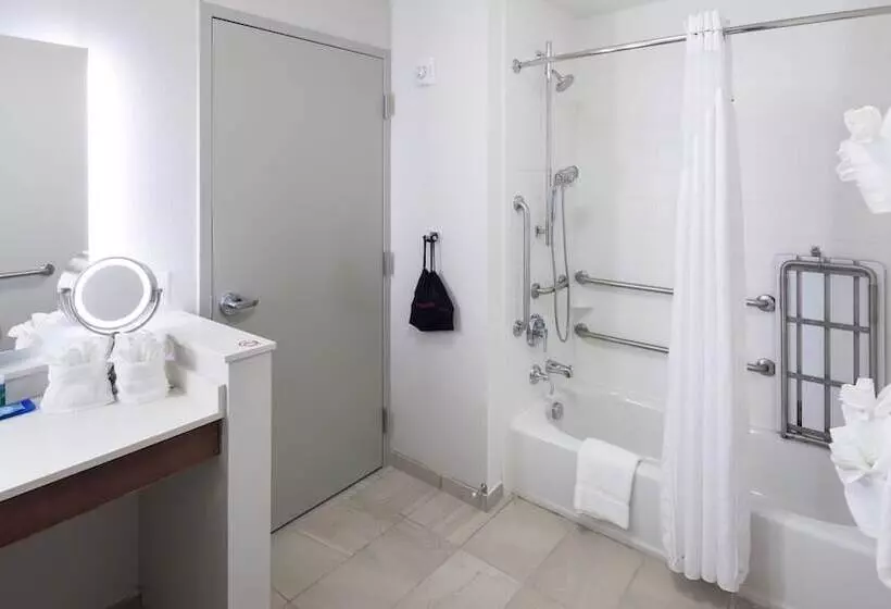 اتاق استاندارد, Holiday Inn Express & Suites Orlando At Seaworld, An Ihg