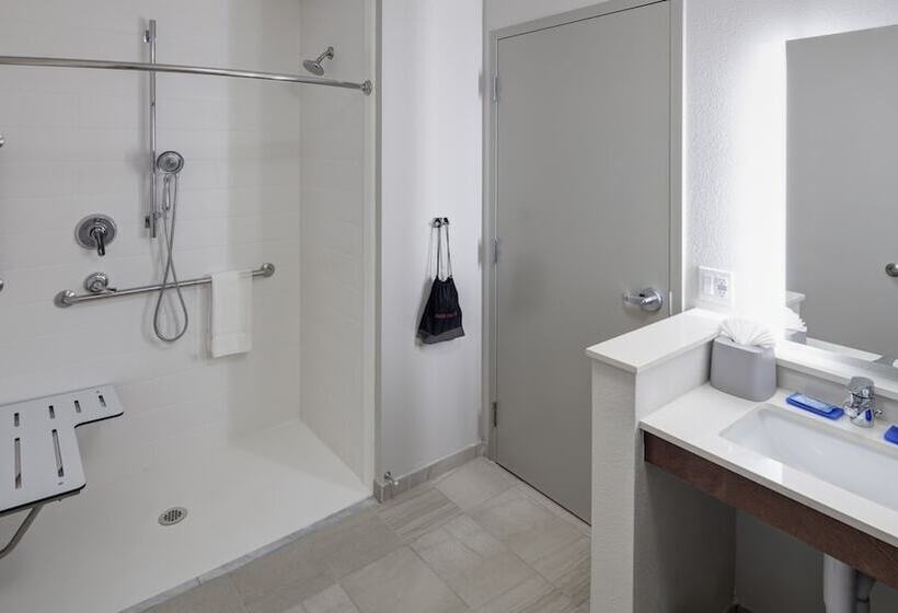 适合残疾人士使用的套间, Holiday Inn Express & Suites   Orlando At Seaworld, An Ihg