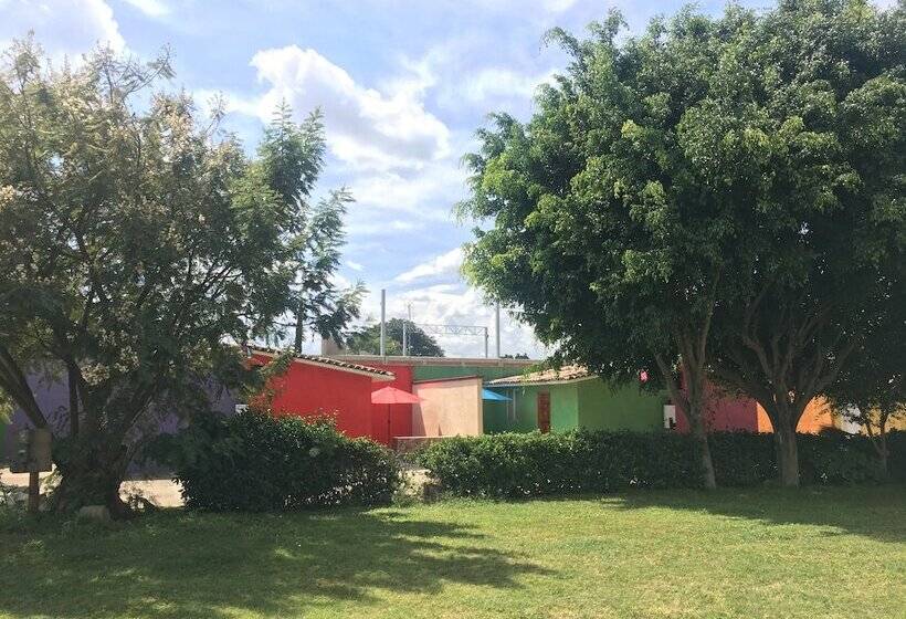 غرفة قياسية ثلاثية, Rural San Anton