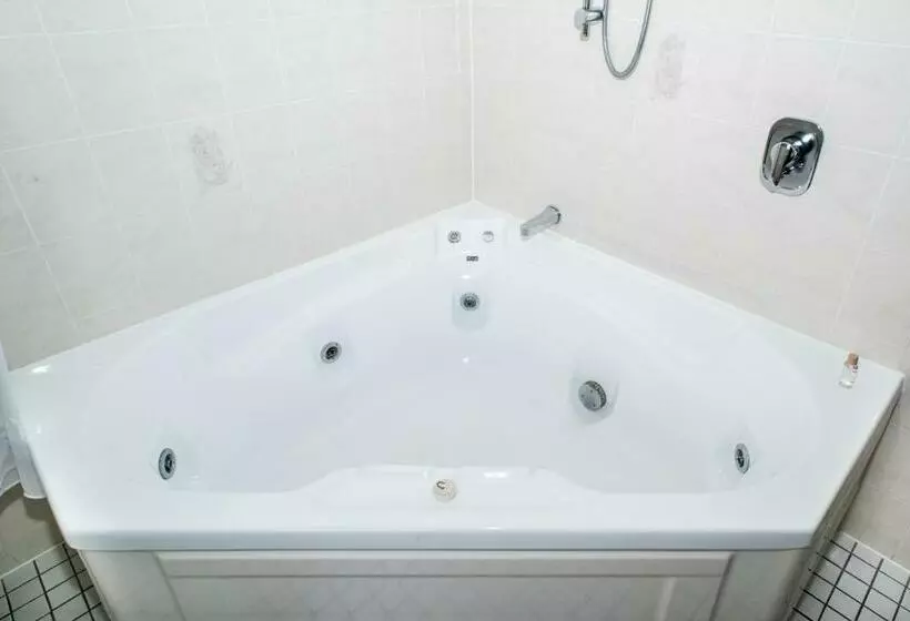 スタンダードスタジオ, White Heron Motor Lodge