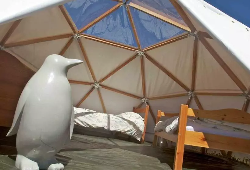 ルームシェアのワンベッド, Le Chalet Viso