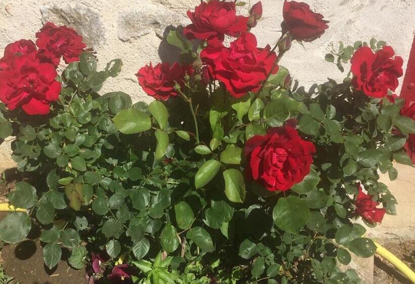 דירת דופלקס בת חדר שינה 1, Les Maitres Sonneurs
