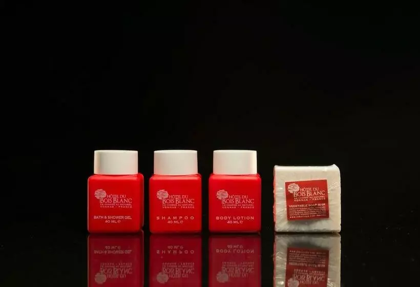エクゼクティブルーム, Hôtel Du Bois Blanc Domaine D Epeyssoles Georges Blanc