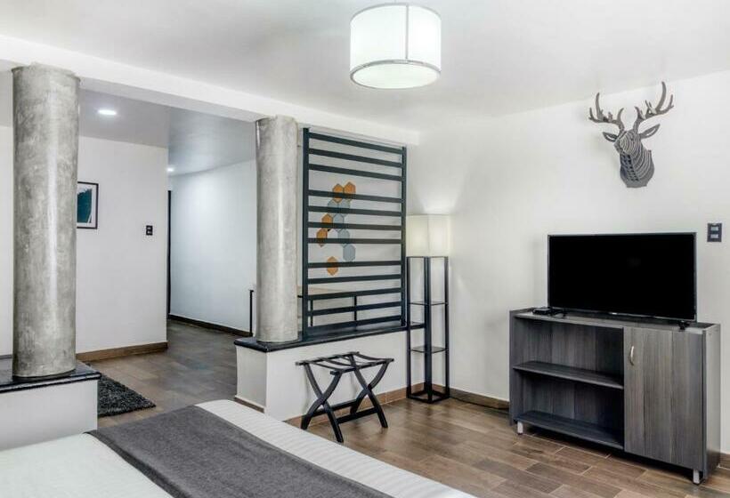 Cameră Superioară, Vn