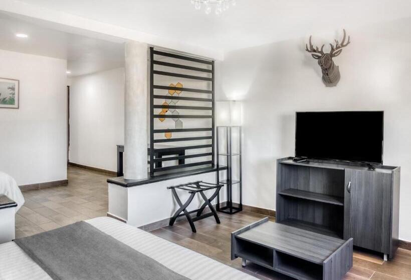 Cameră Superioară, Vn