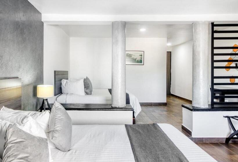 Cameră Superioară, Vn