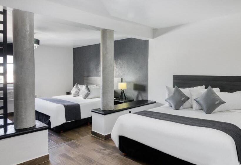 Cameră Superioară, Vn