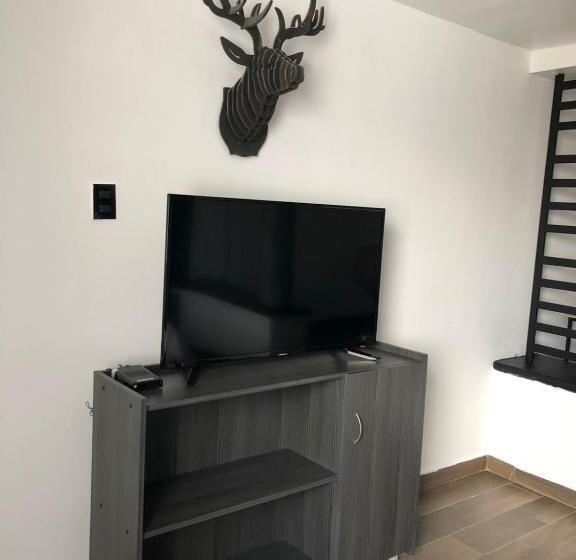 Cameră Superioară, Vn