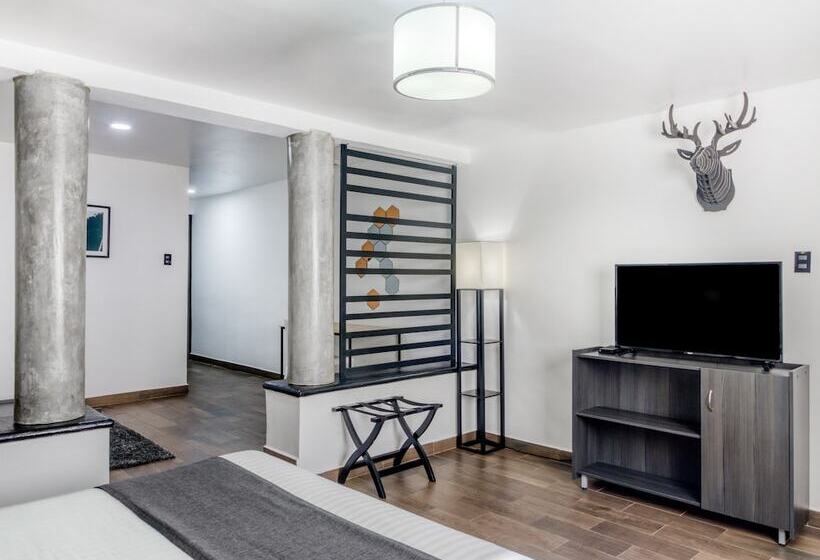 Cameră Superioară, Vn