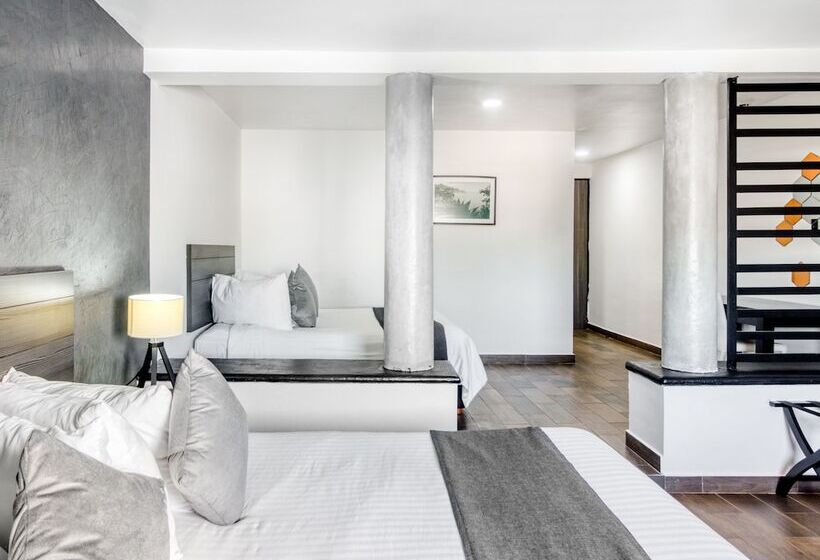 Cameră Superioară, Vn