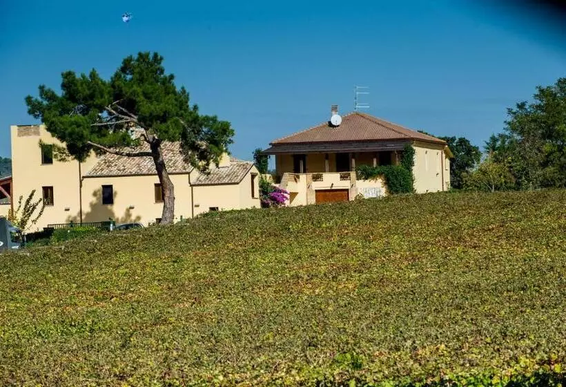 اتاق لوکس, Masseria Del Vino