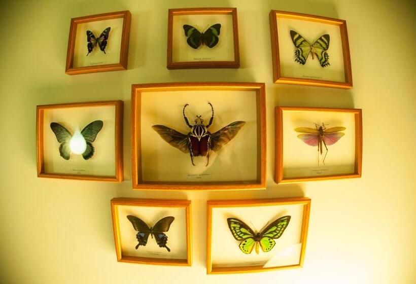 اتاق لوکس, Domaine De Biar