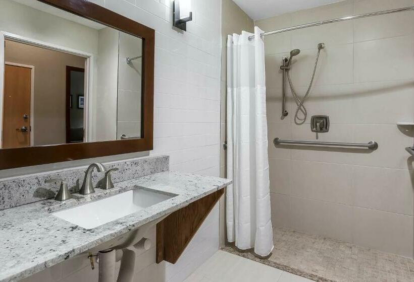سوئیت با تخت بزرگ, Comfort Suites University